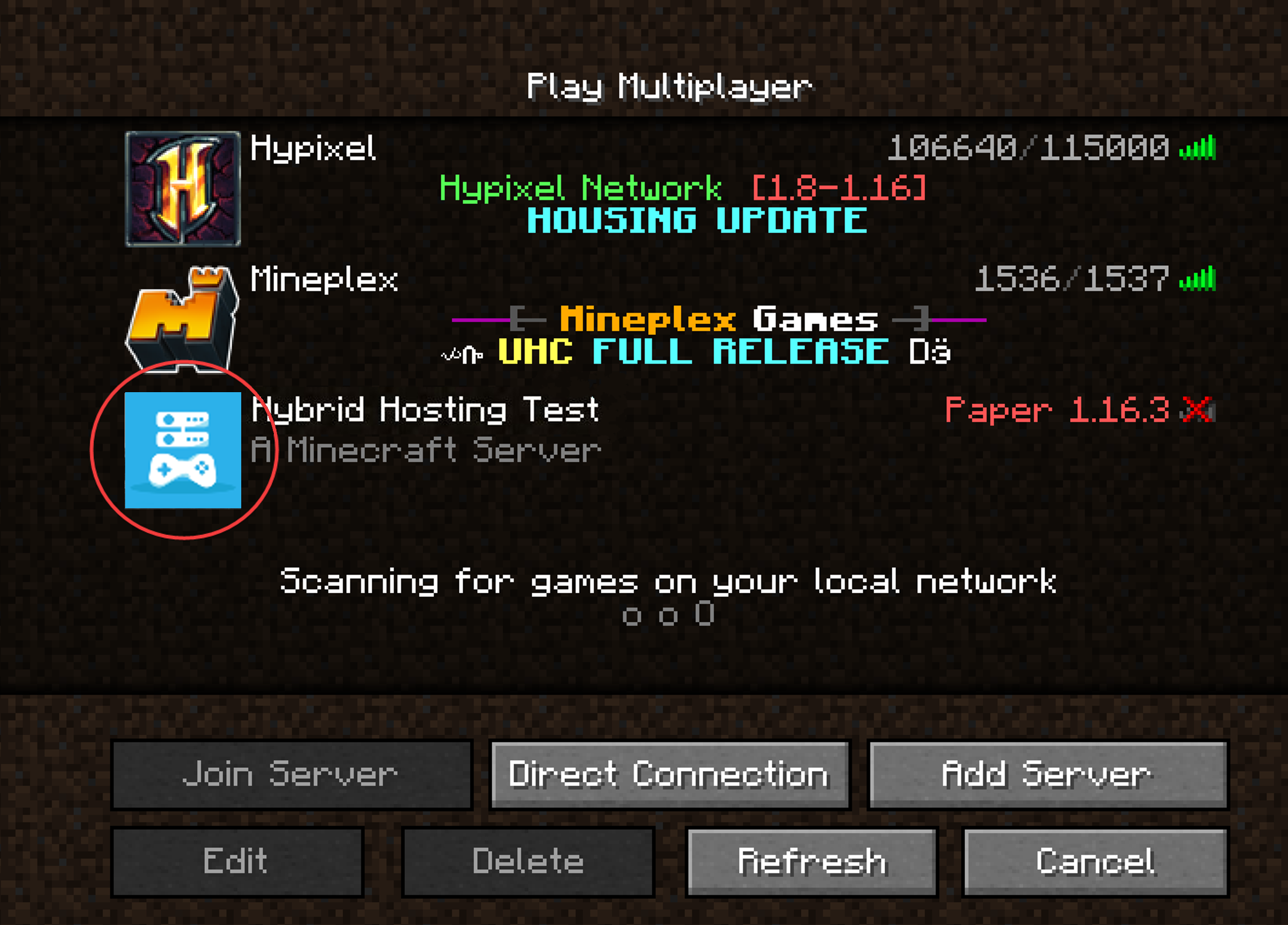 Custom server icon displayed